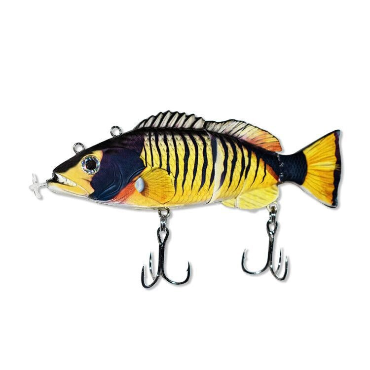 Colitt -RoboticSwimming Fishing Lure