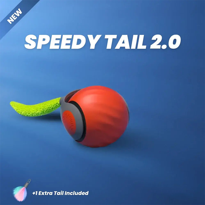SPEEDY TAIL 2.0