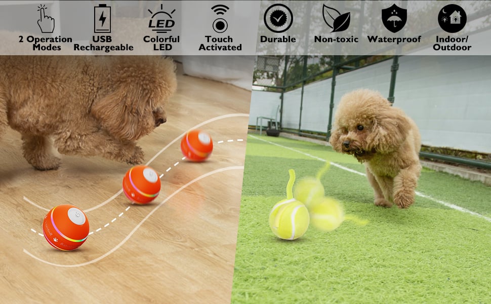 Interactive Remote Dog Ball