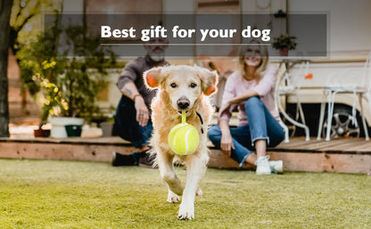 Interactive Remote Dog Ball