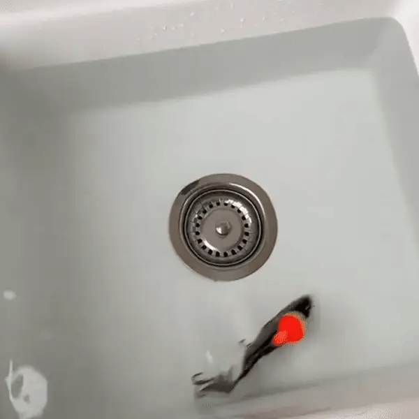 Colitt -RoboticSwimming Fishing Lure